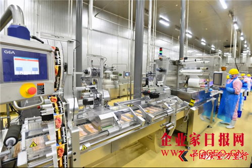 双汇发展 完善产业布局，增强核心竞争力，携手郑州软件推动产业升级